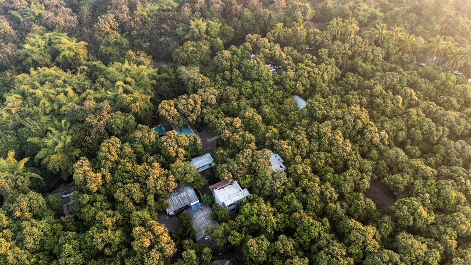 סאסאן גיר Gir County Resort מראה חיצוני תמונה