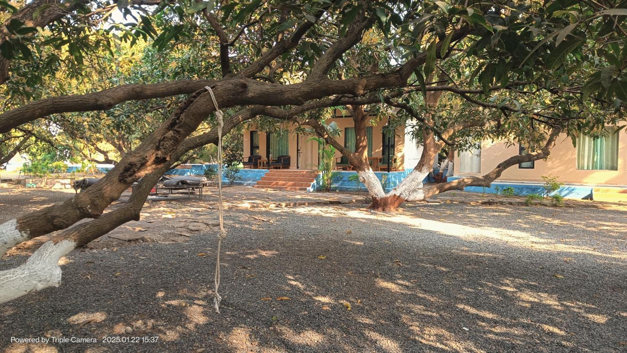 סאסאן גיר Gir County Resort מראה חיצוני תמונה