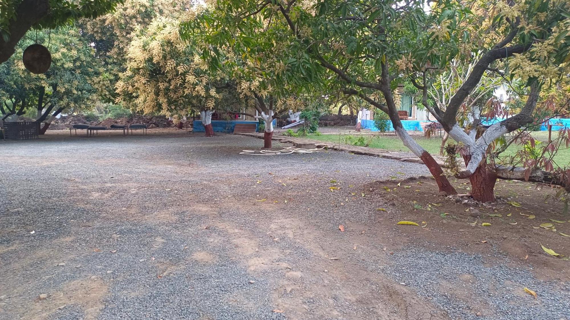 סאסאן גיר Gir County Resort מראה חיצוני תמונה