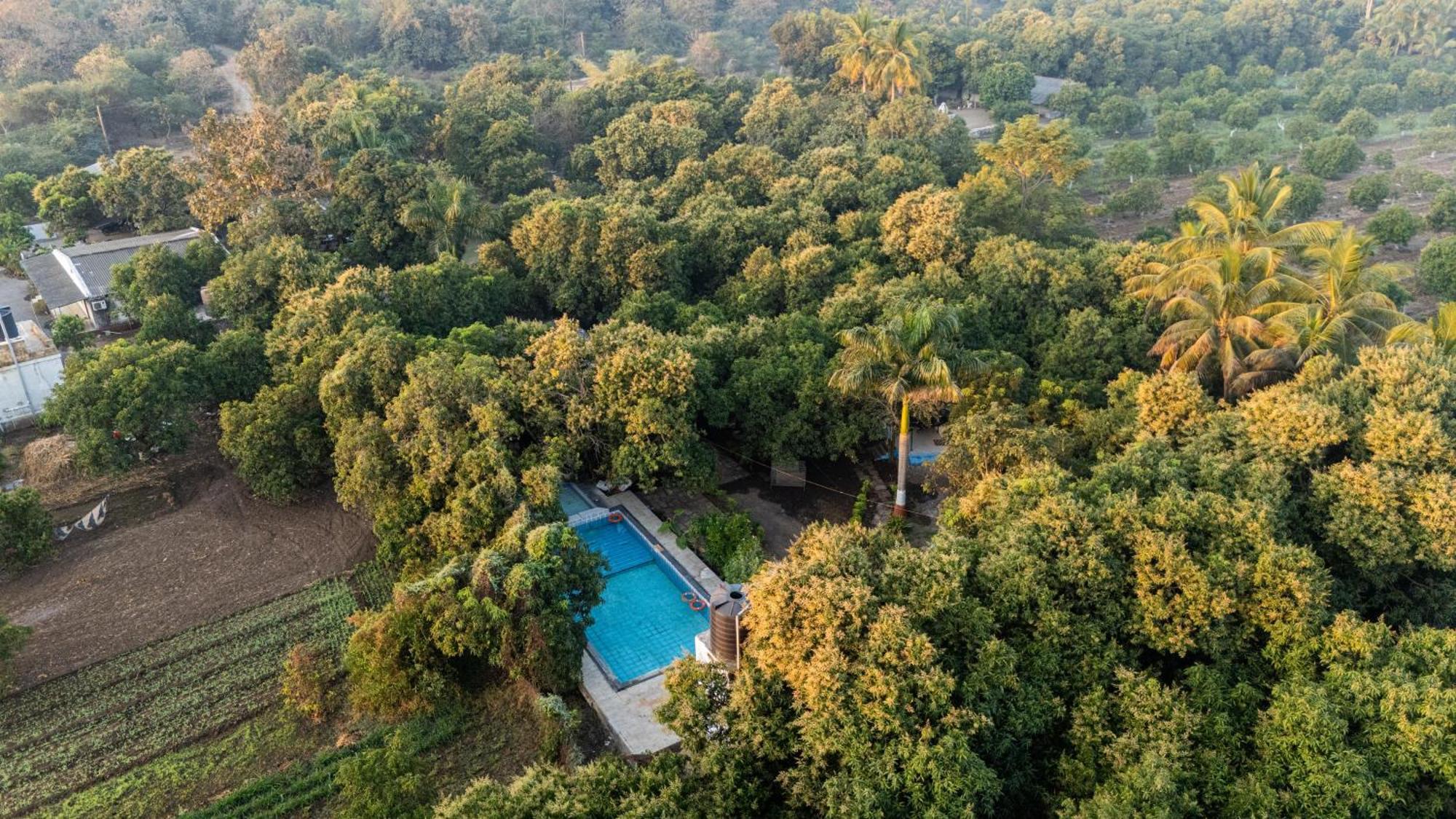סאסאן גיר Gir County Resort מראה חיצוני תמונה