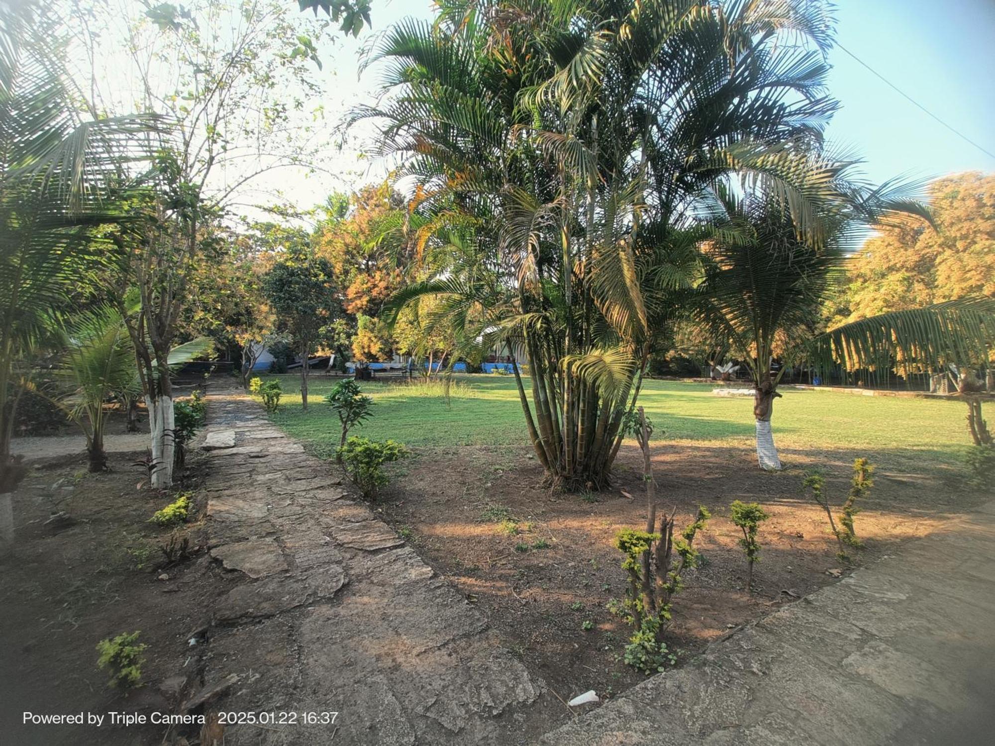 סאסאן גיר Gir County Resort מראה חיצוני תמונה