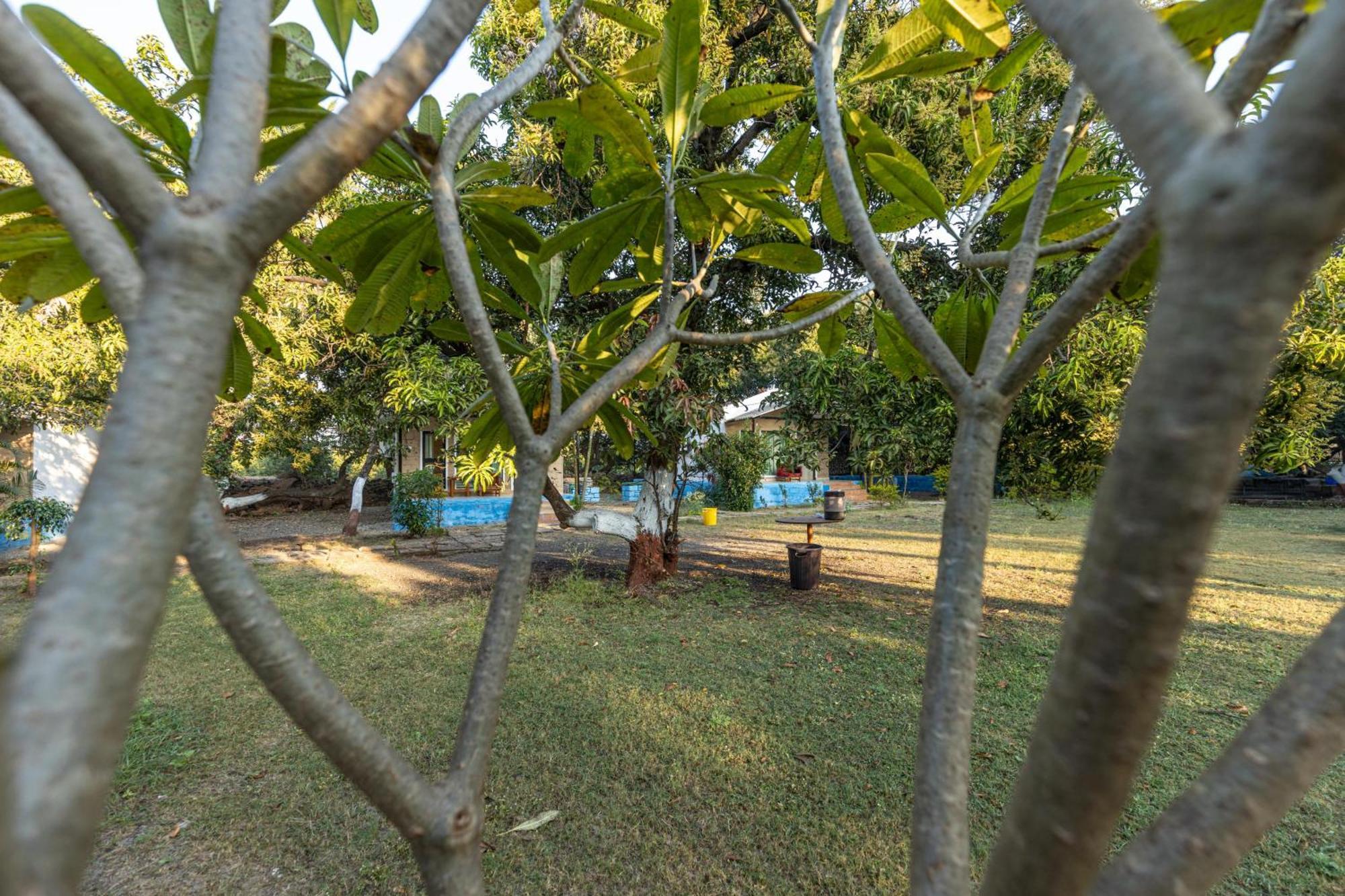סאסאן גיר Gir County Resort מראה חיצוני תמונה